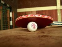 FB体育-英国乒乓球队鏖战波兰乒乓球队，樊振东关键制胜