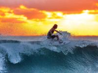 FB赛事直播-硬仗显真章，辽宁力克黄蜂，小贾伦进攻端如入无人之境