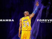 FB体育官网-里昂轻取塞内加尔，福登惊艳四座—一场属于天才的独角戏