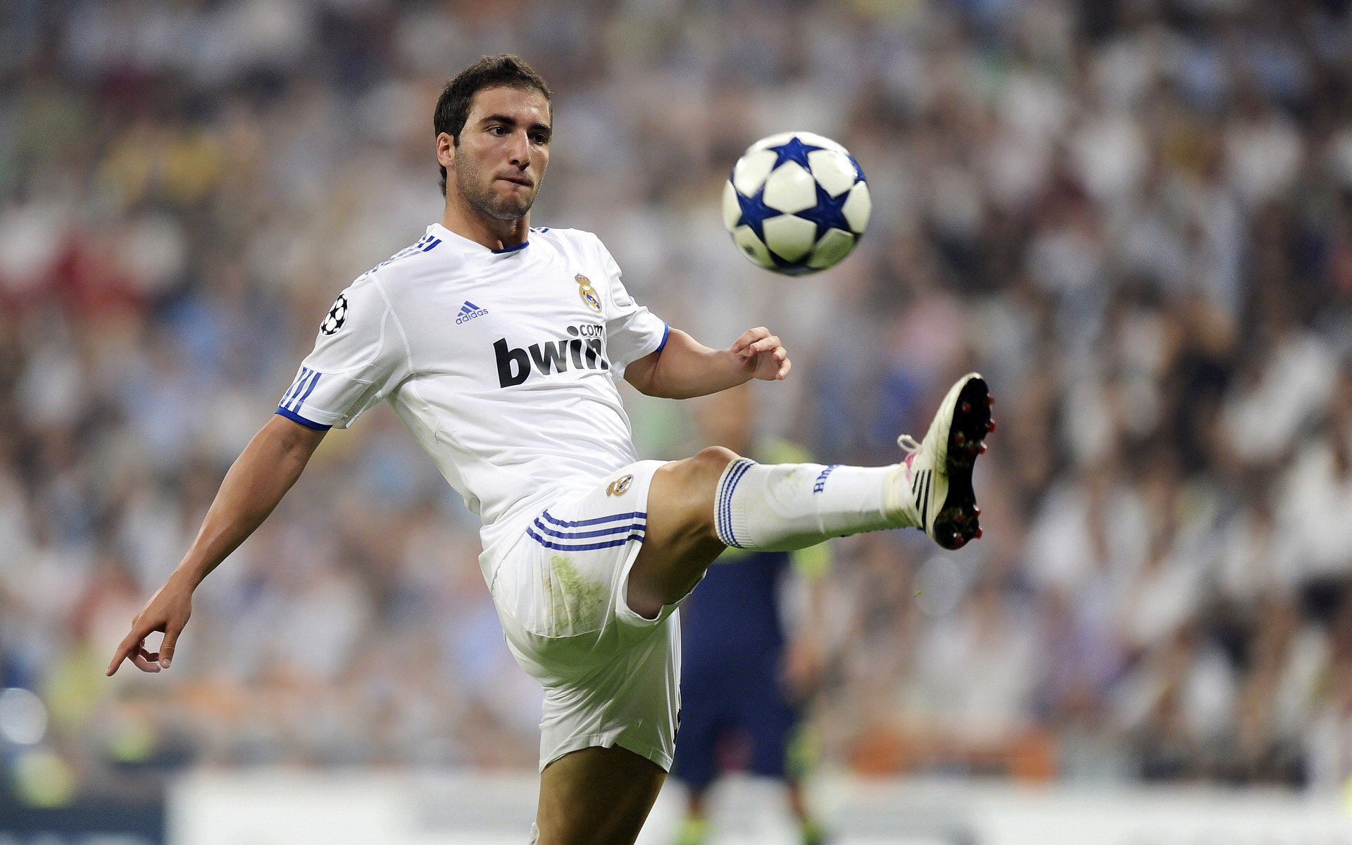 单枪破高卢，波尔王者归来，奥地利用一场唯一定义欧洲杯奇迹